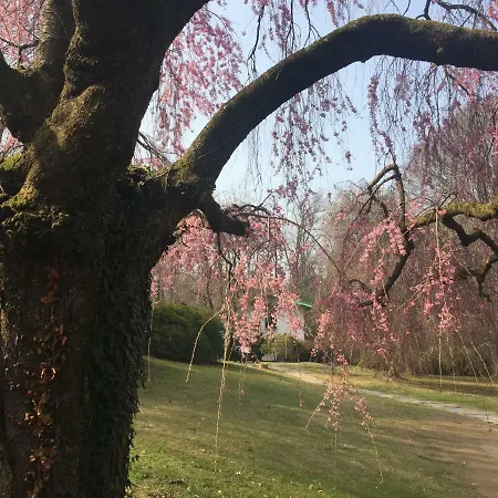 Brusisch 1638 Domek alpejski *