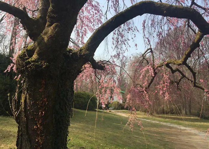 Brusisch 1638 Horská chata *